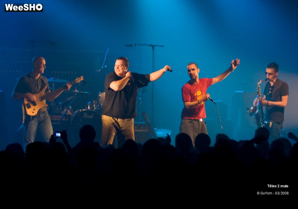 11/30 photos du spectacle Tetes2mule