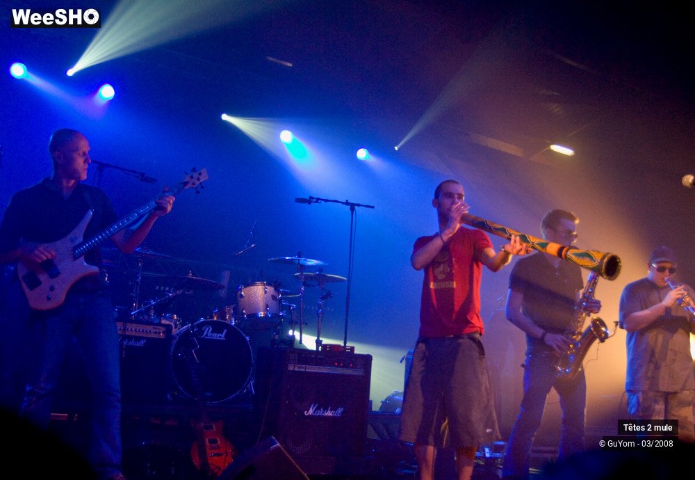 12/30 photos du spectacle Tetes2mule