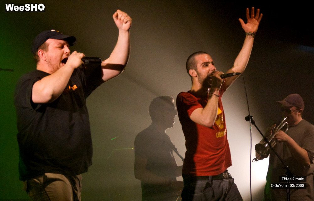 13/30 photos du spectacle Tetes2mule