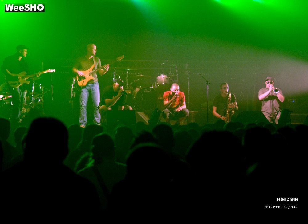 14/30 photos du spectacle Tetes2mule