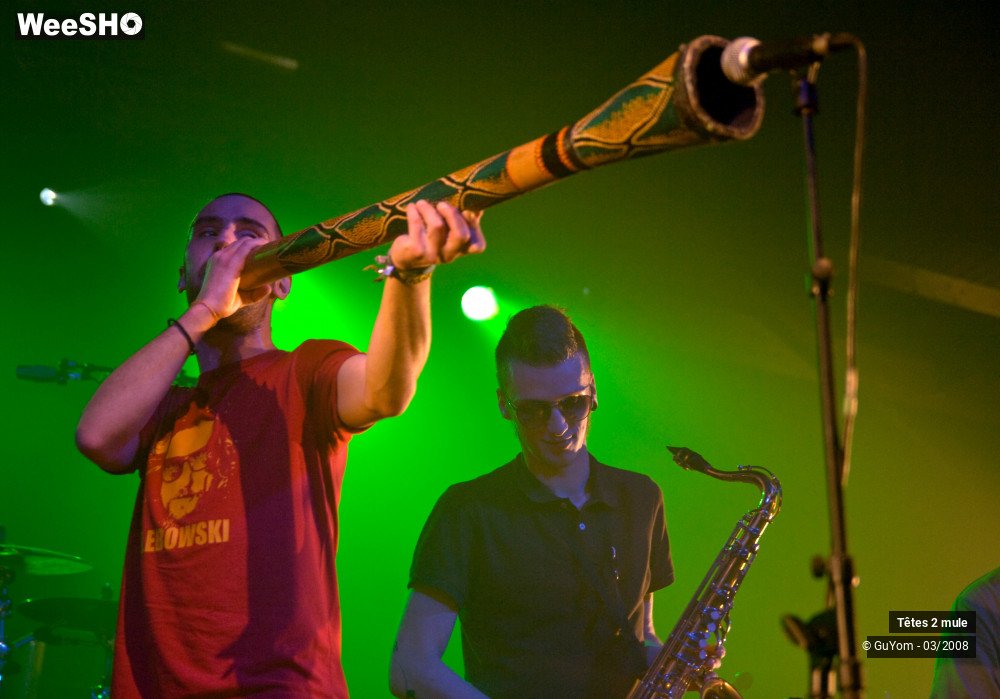 16/30 photos du spectacle Tetes2mule