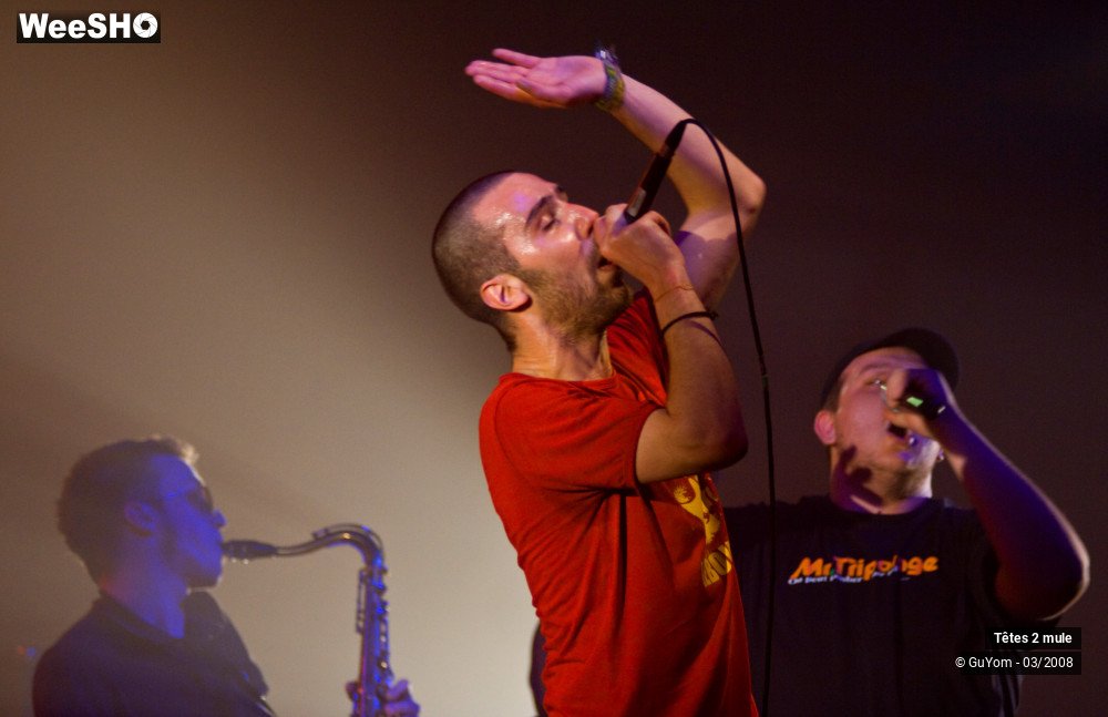 17/30 photos du spectacle Tetes2mule