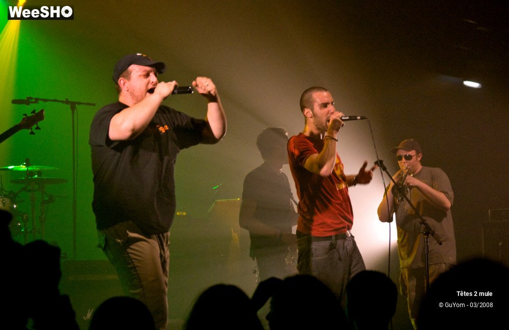 18/30 photos du spectacle Tetes2mule