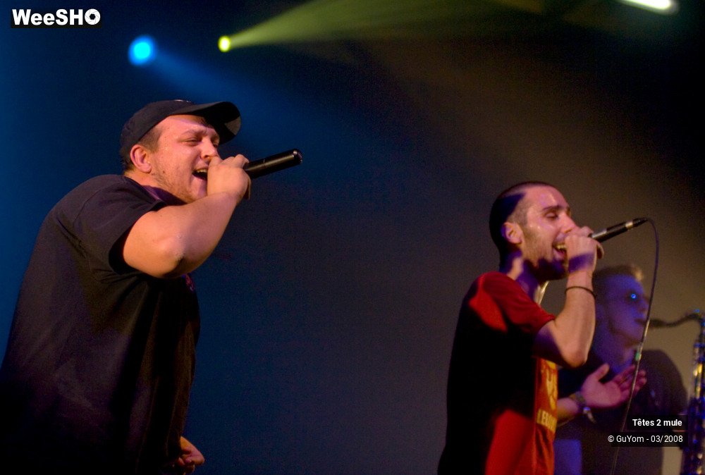 19/30 photos du spectacle Tetes2mule