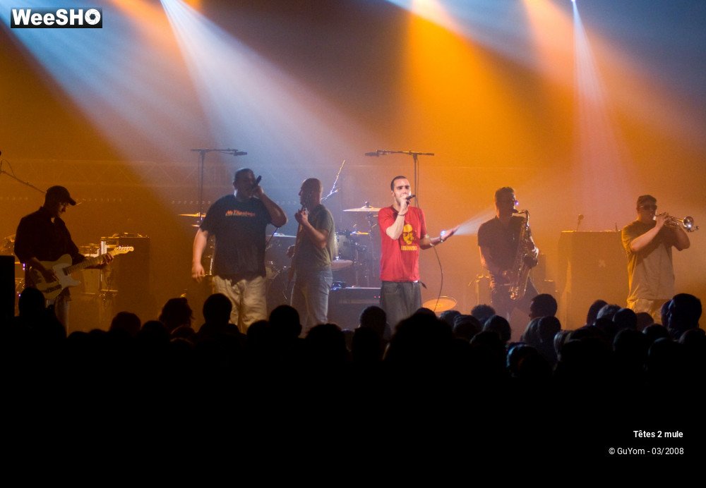 20/30 photos du spectacle Tetes2mule