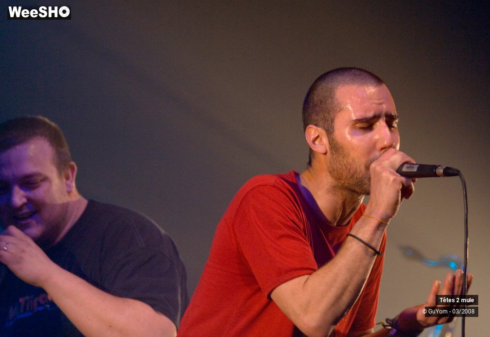 21/30 photos du spectacle Tetes2mule