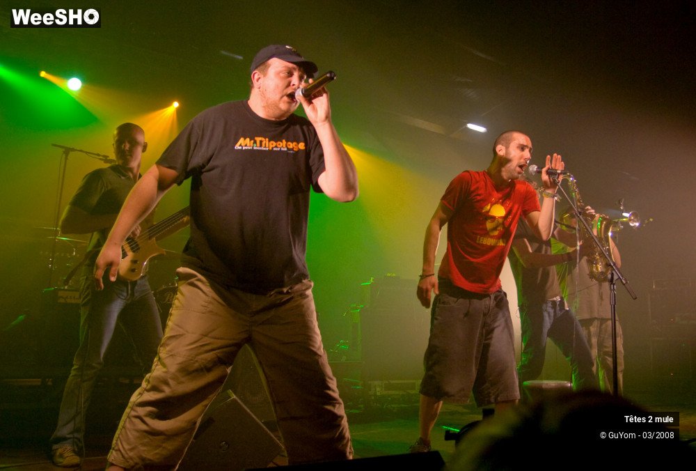 22/30 photos du spectacle Tetes2mule