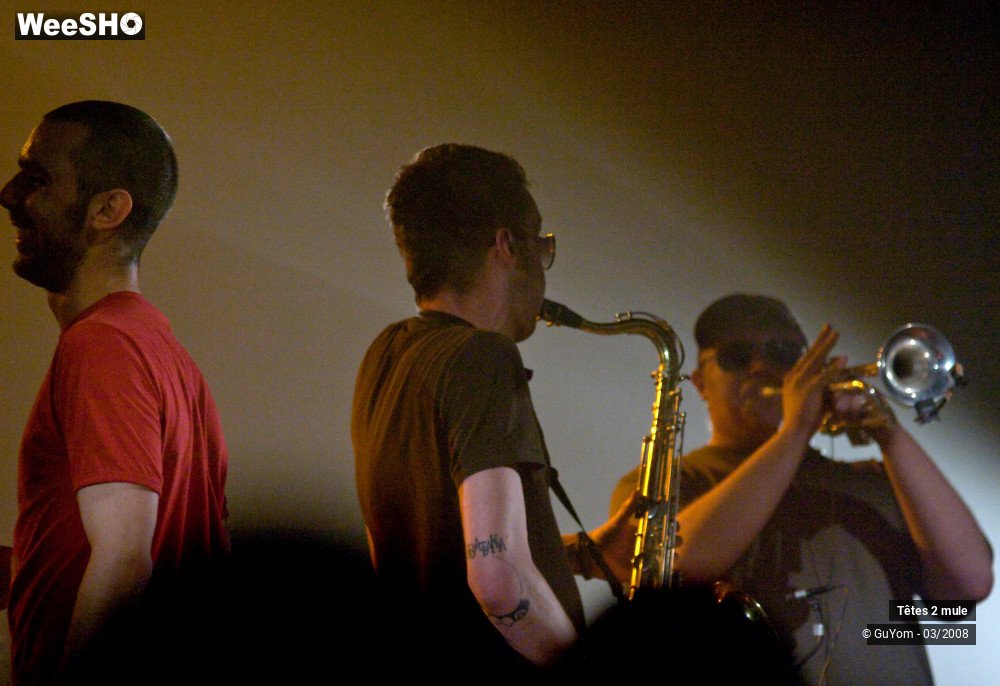 26/30 photos du spectacle Tetes2mule