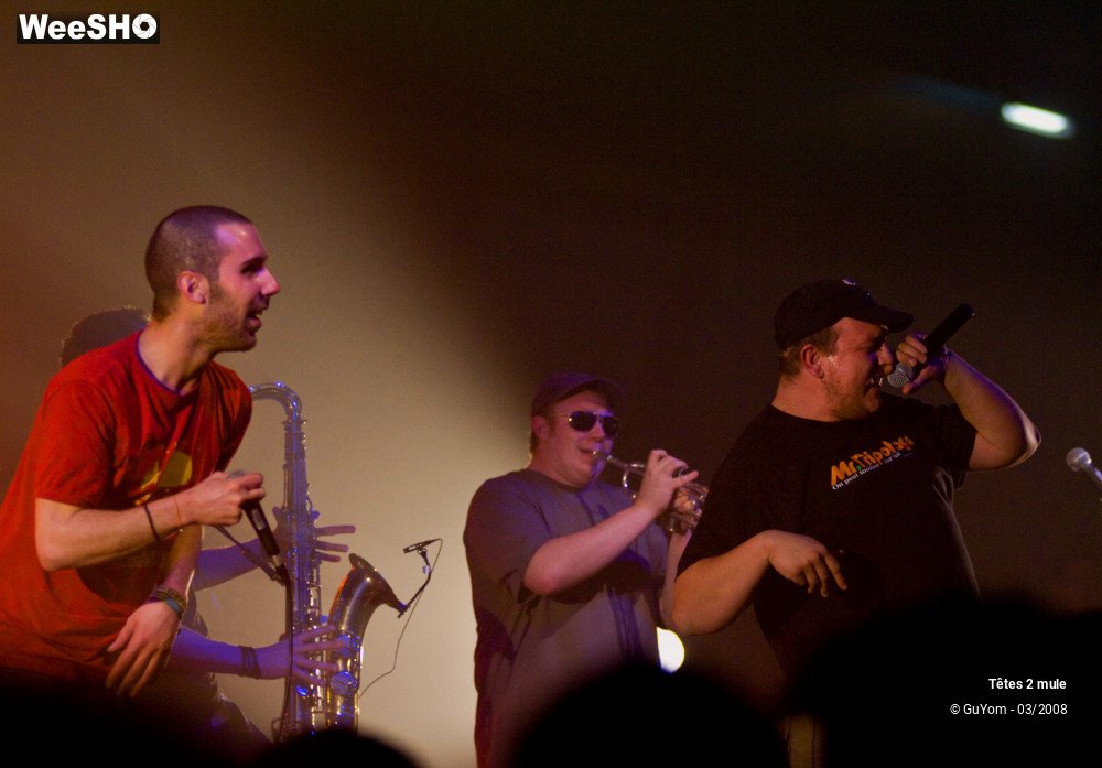 27/30 photos du spectacle Tetes2mule