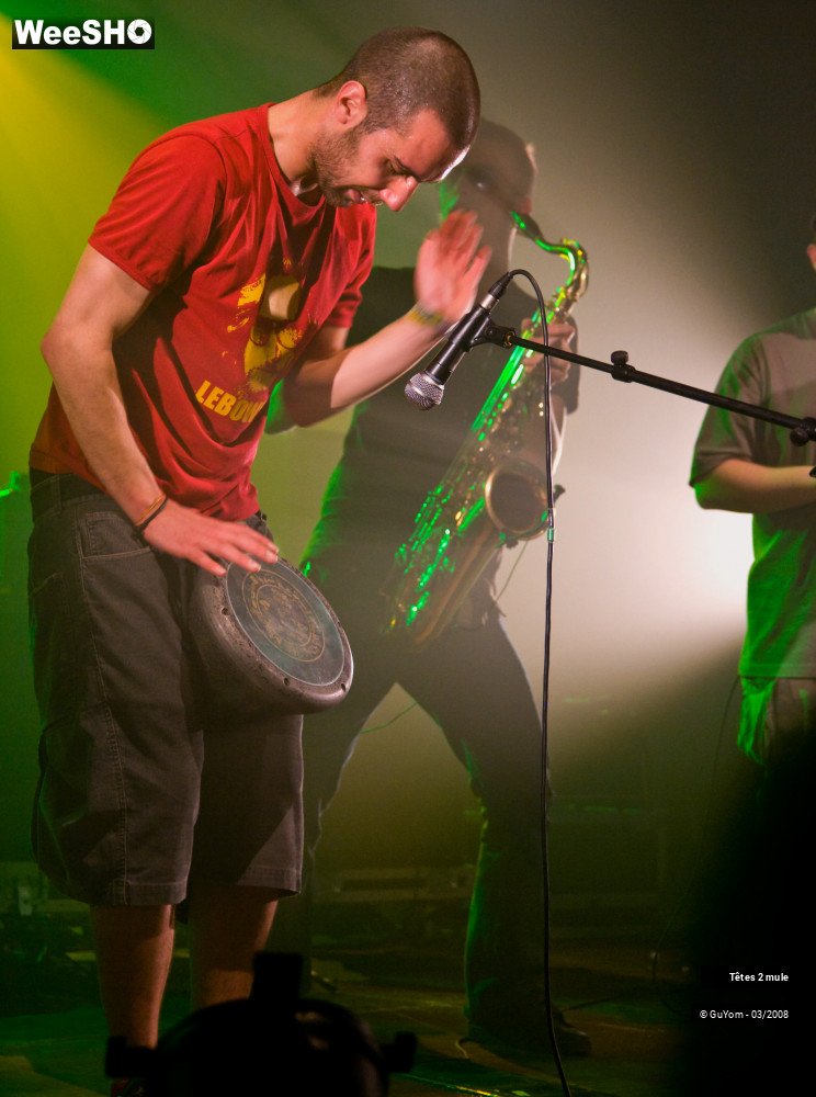 28/30 photos du spectacle Tetes2mule