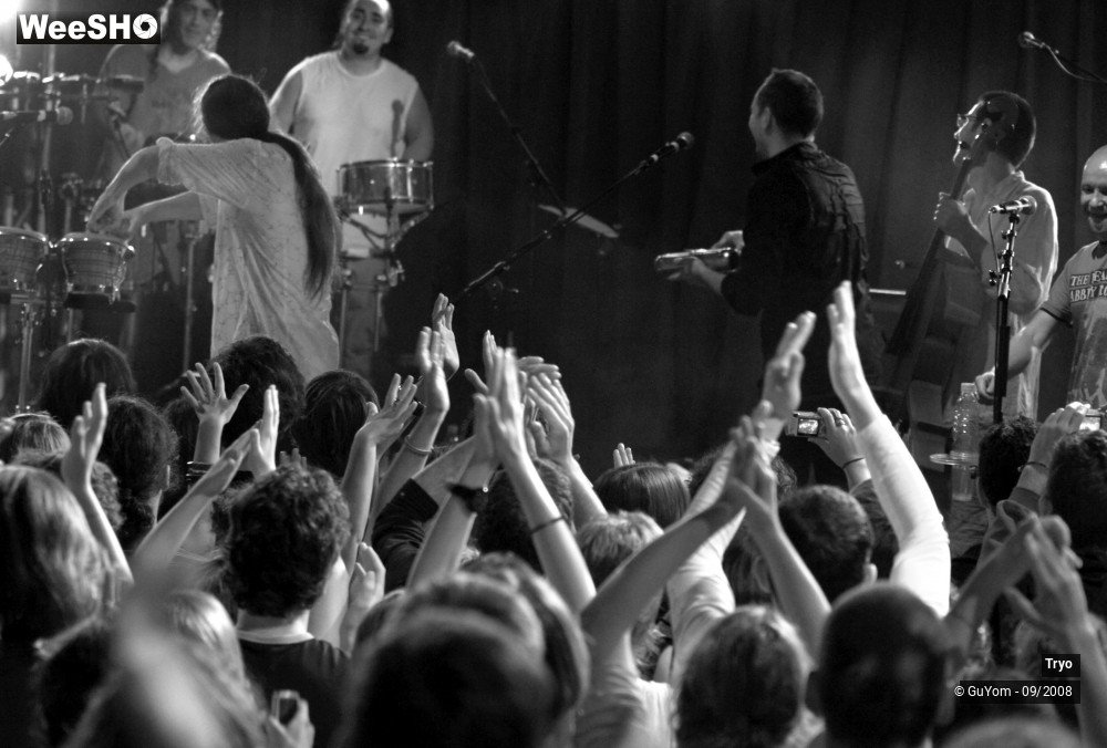 28/50 photos du spectacle Tryo