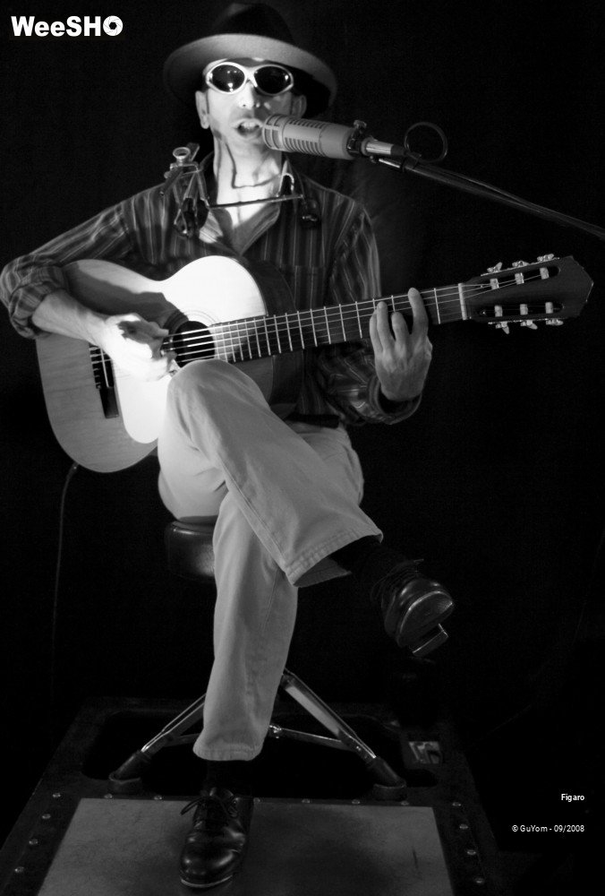 10/38 photos du spectacle Figaro