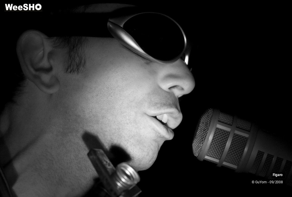 26/38 photos du spectacle Figaro
