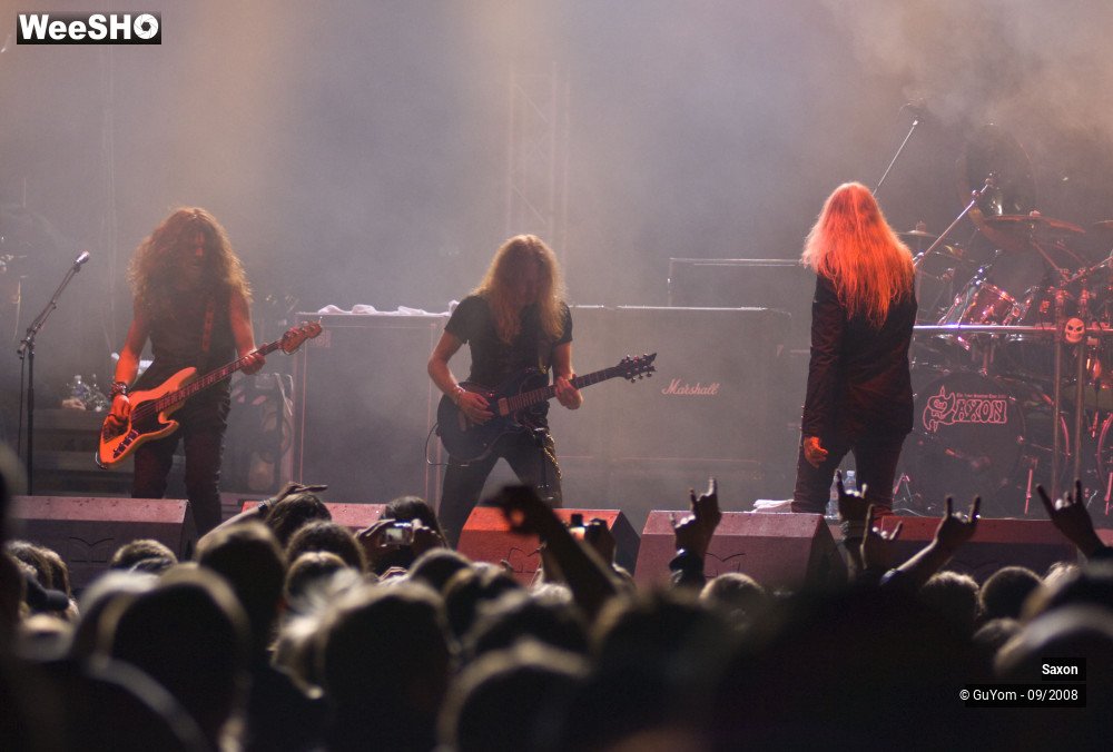 20/48 photos du spectacle Saxon