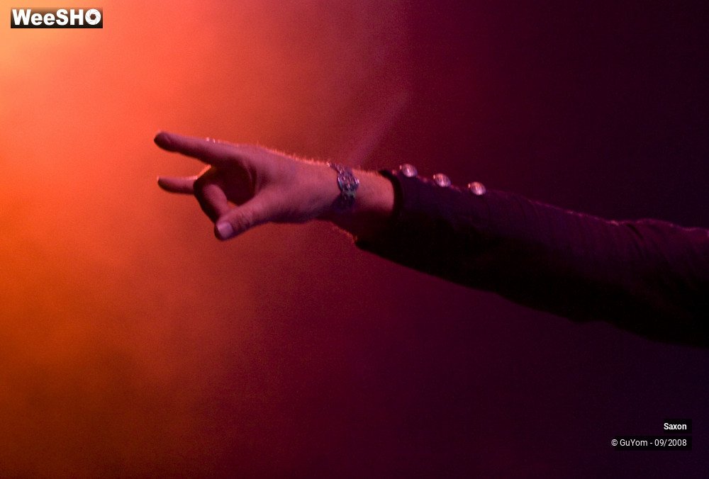 31/48 photos du spectacle Saxon