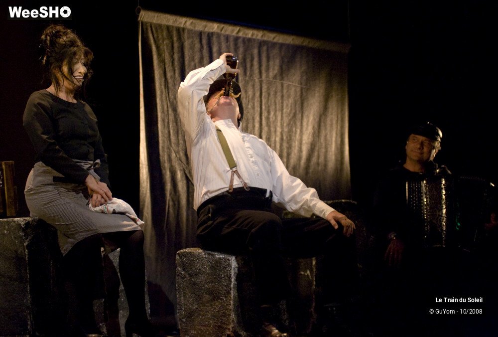 28/50 photos du spectacle Le train du Soleil
