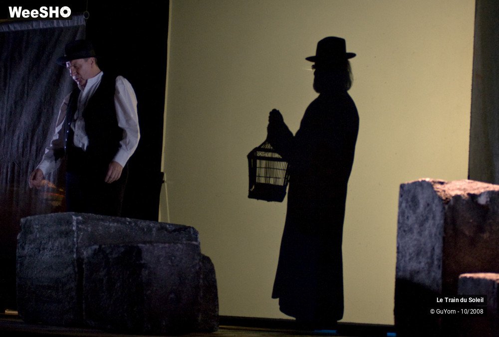 35/50 photos du spectacle Le train du Soleil