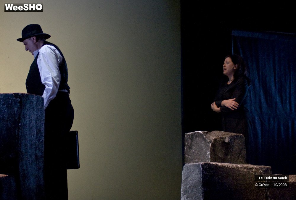 45/50 photos du spectacle Le train du Soleil