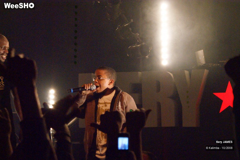 33/45 photos du spectacle Kery James