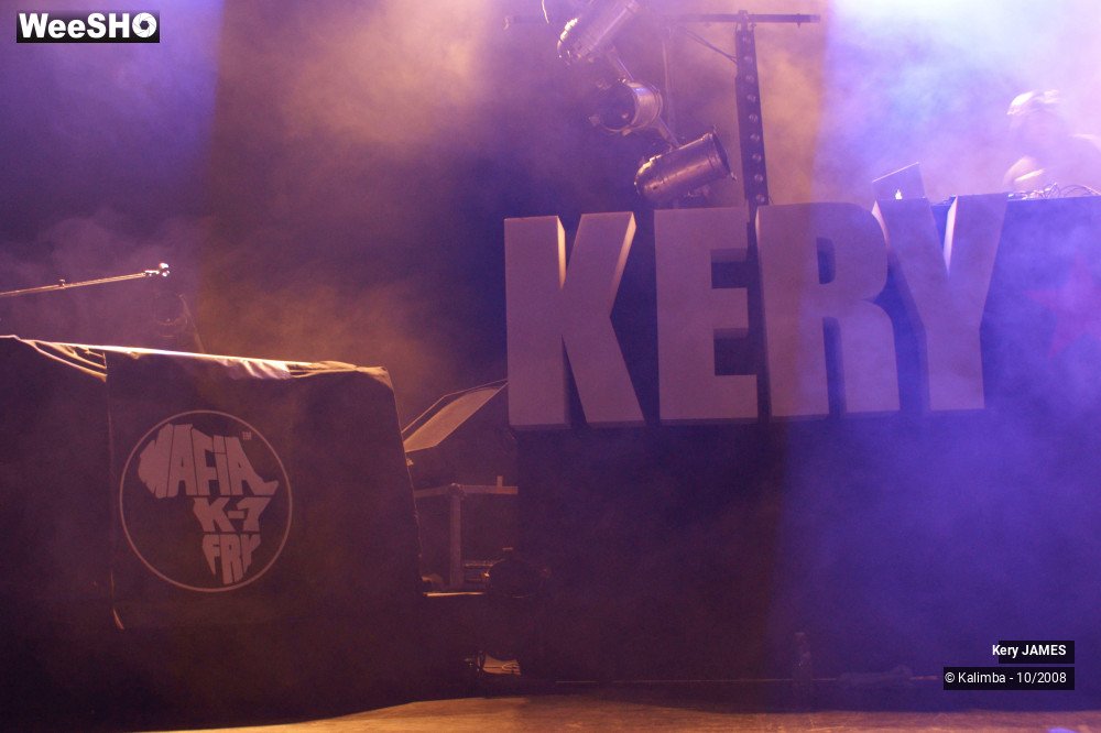 36/45 photos du spectacle Kery James