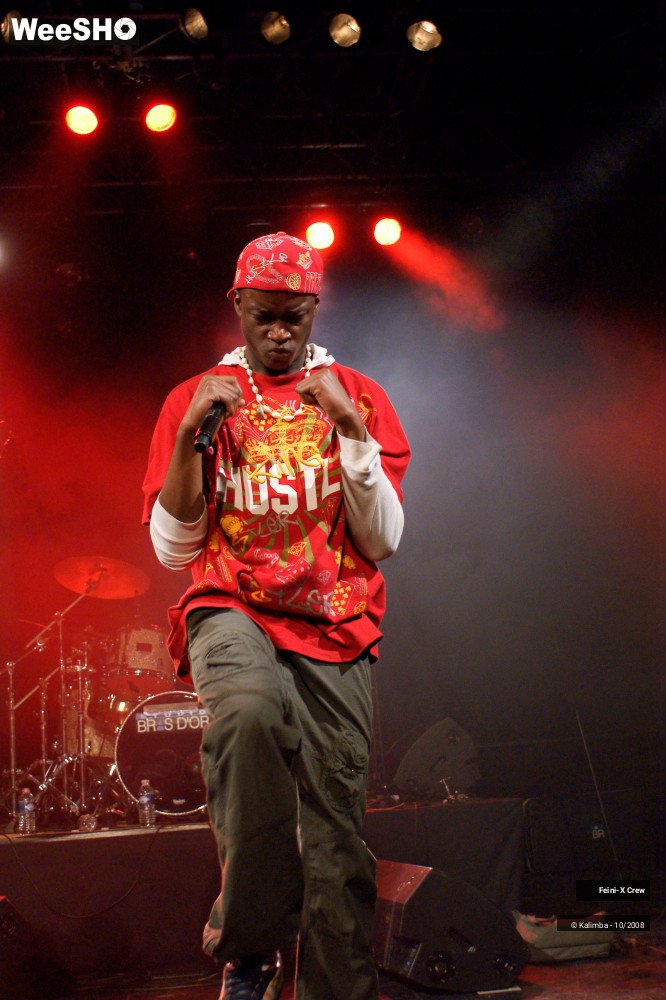 1/38 photos du spectacle Feinix Crew
