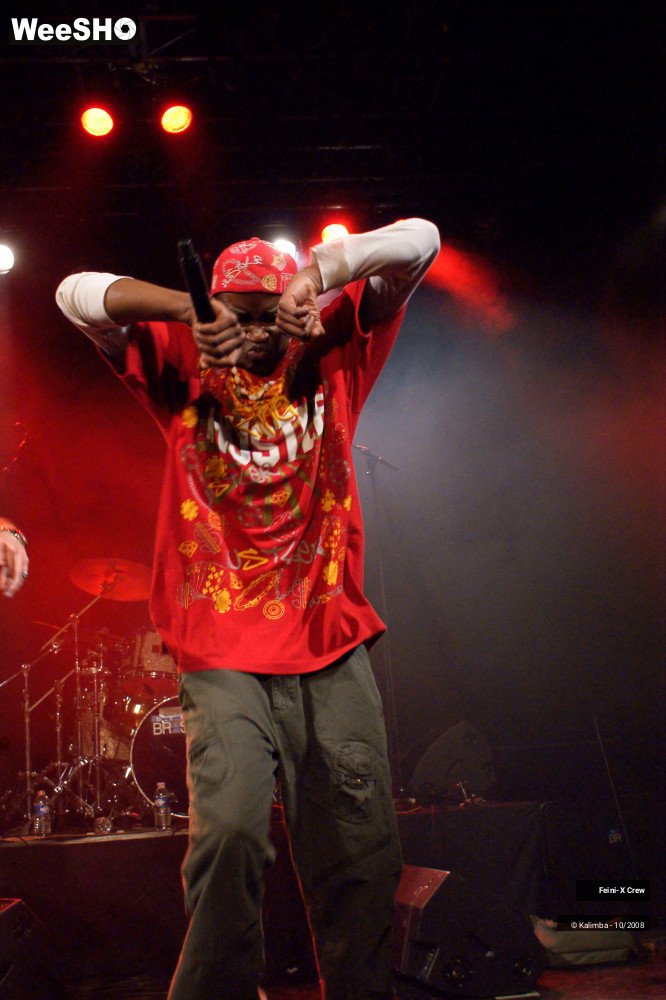 15/38 photos du spectacle Feinix Crew