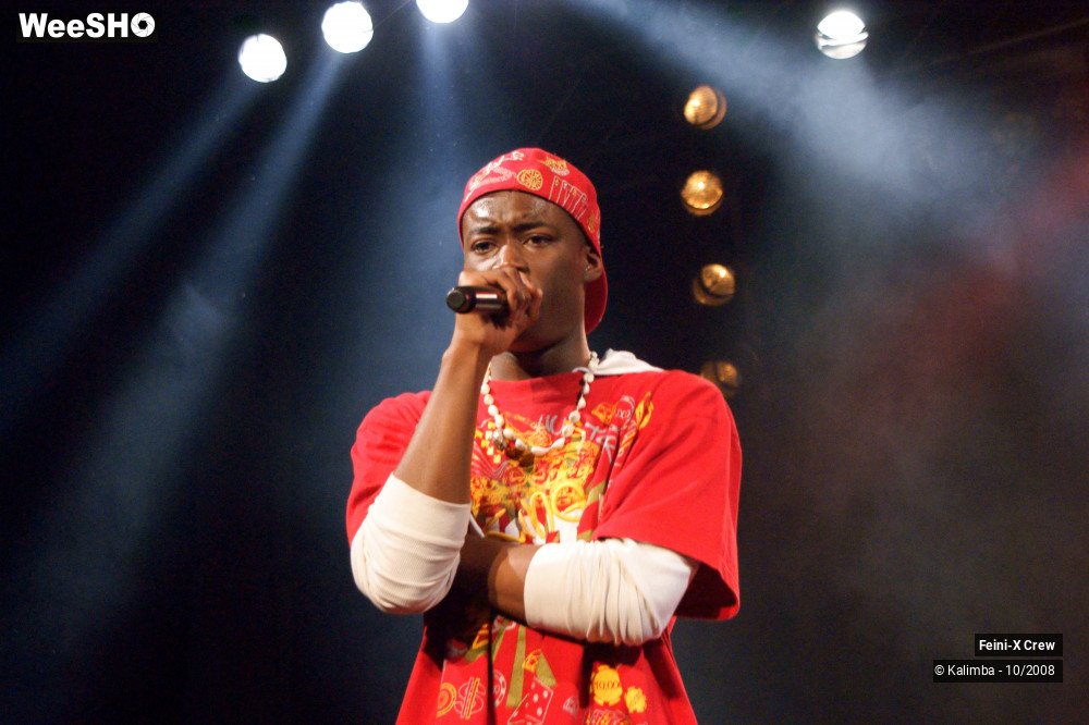 27/38 photos du spectacle Feinix Crew