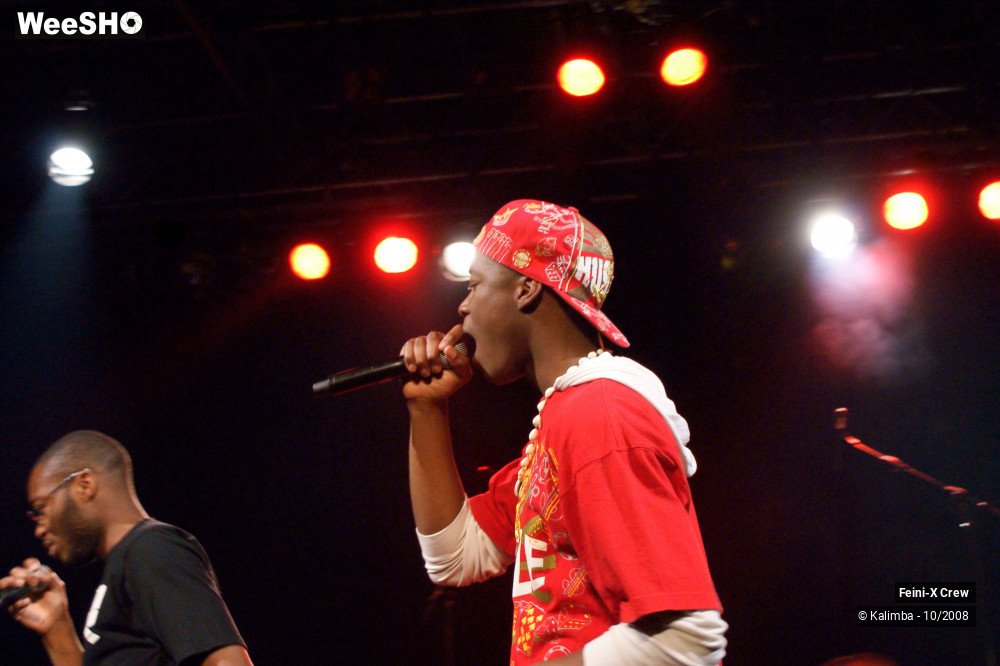 36/38 photos du spectacle Feinix Crew