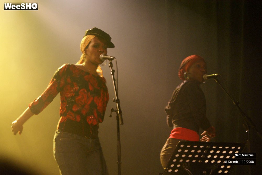 33/50 photos du spectacle Neg' Marrons