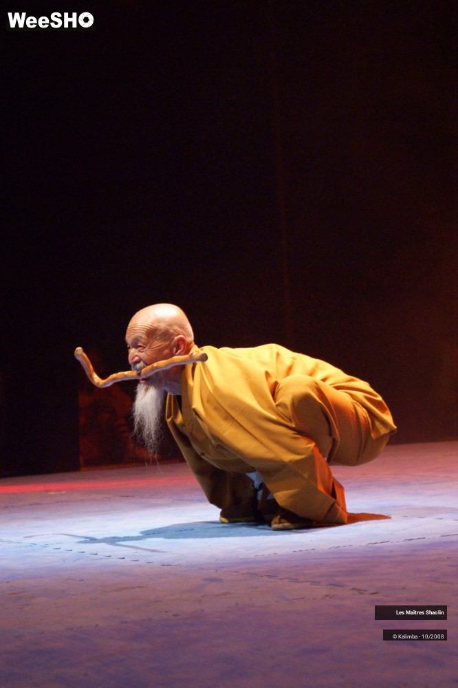 20/50 photos du spectacle Les Maîtres Shaolin