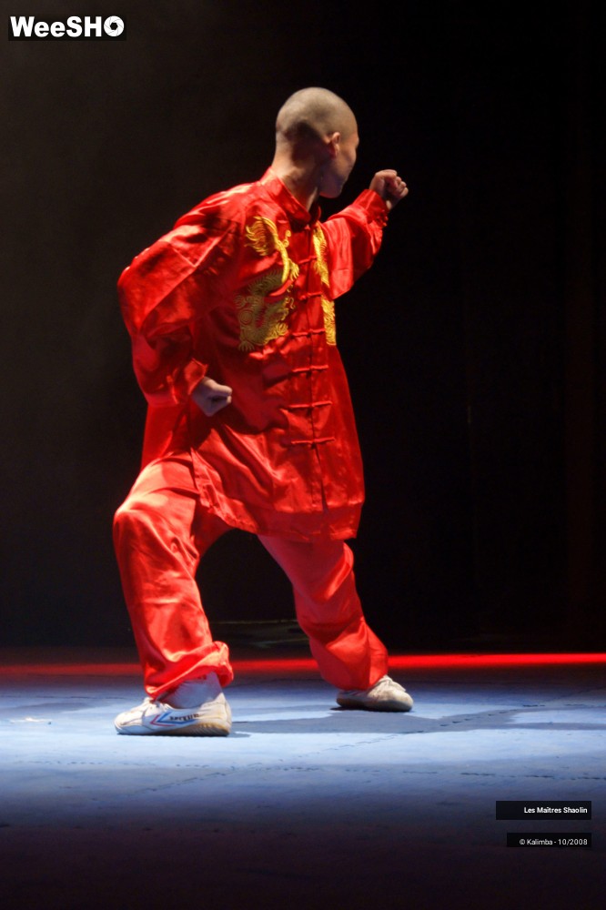 21/50 photos du spectacle Les Maîtres Shaolin