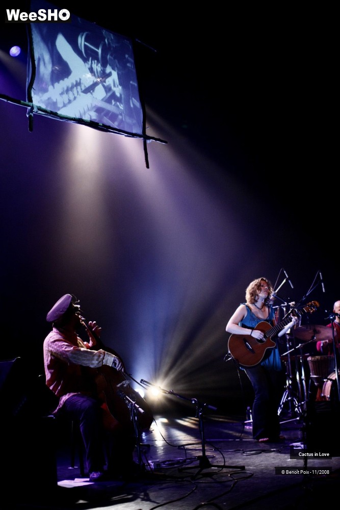12/26 photos du spectacle Cactus In Love