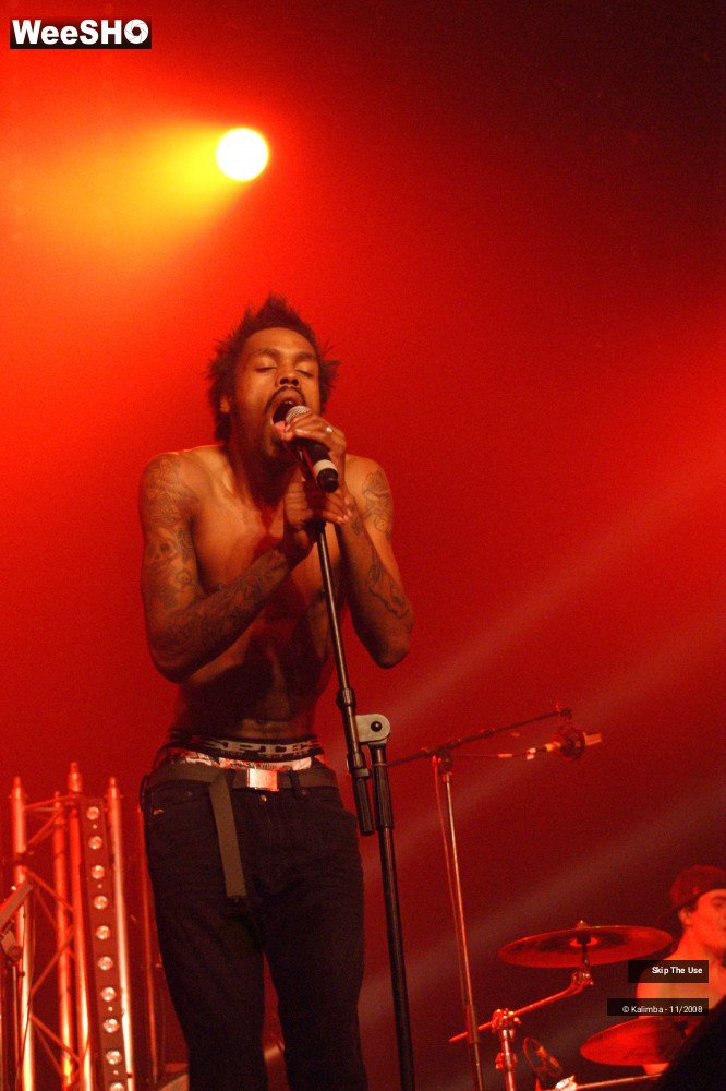 1/46 photos du spectacle Skip The Use