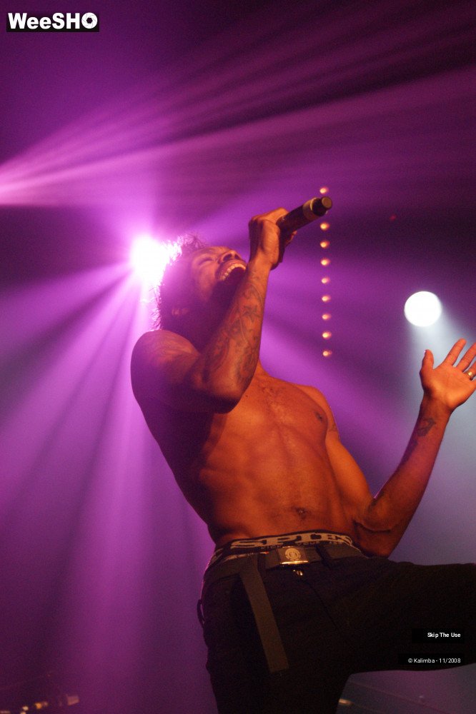 5/46 photos du spectacle Skip The Use