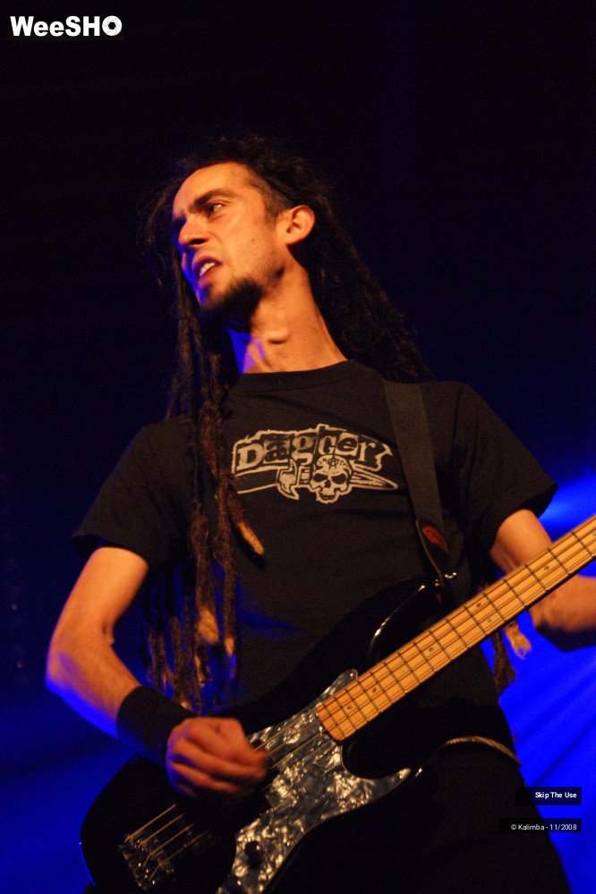 9/46 photos du spectacle Skip The Use