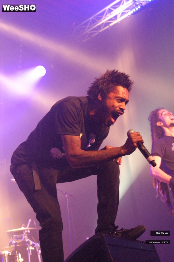 10/46 photos du spectacle Skip The Use