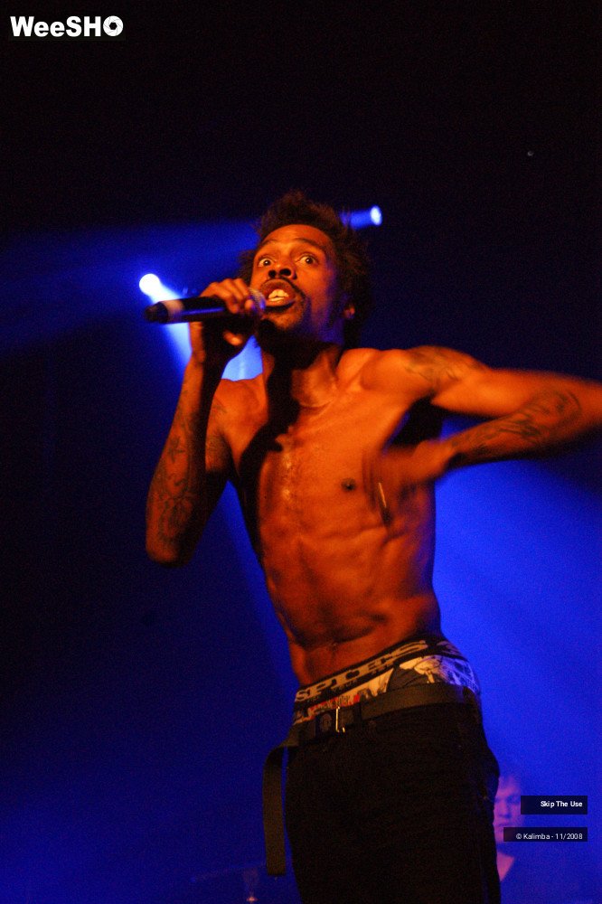 11/46 photos du spectacle Skip The Use