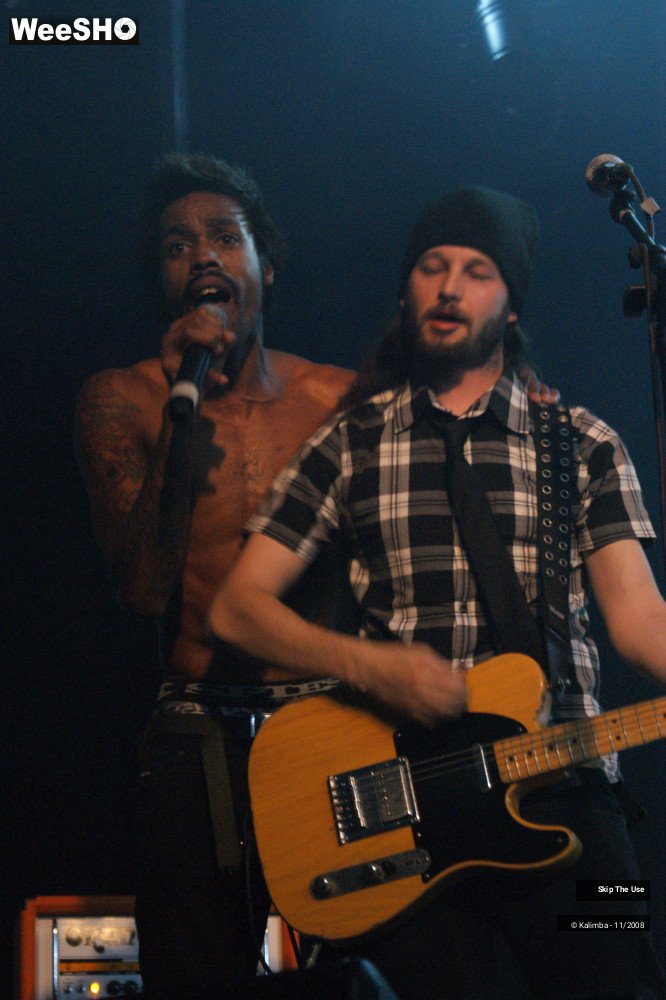 16/46 photos du spectacle Skip The Use