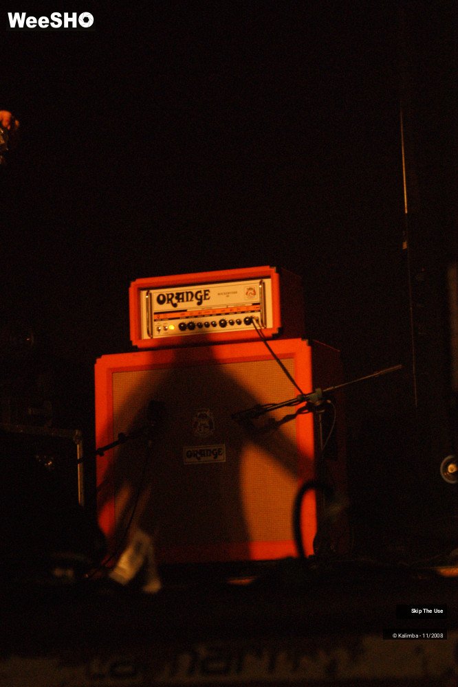 17/46 photos du spectacle Skip The Use