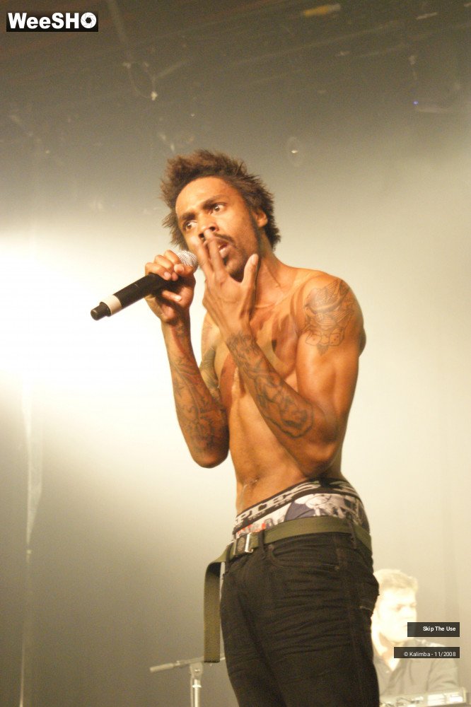 20/46 photos du spectacle Skip The Use