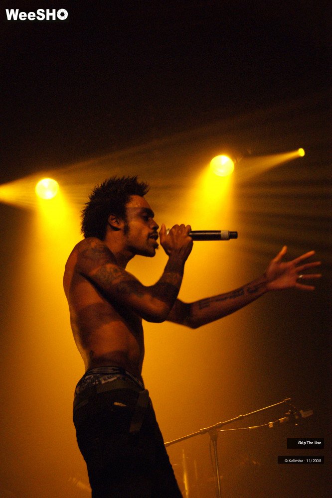 24/46 photos du spectacle Skip The Use