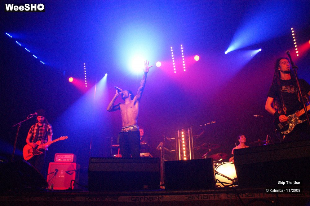 26/46 photos du spectacle Skip The Use