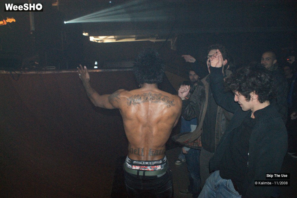 27/46 photos du spectacle Skip The Use