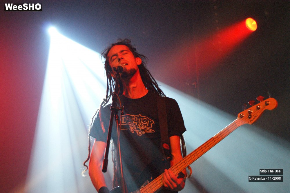 30/46 photos du spectacle Skip The Use