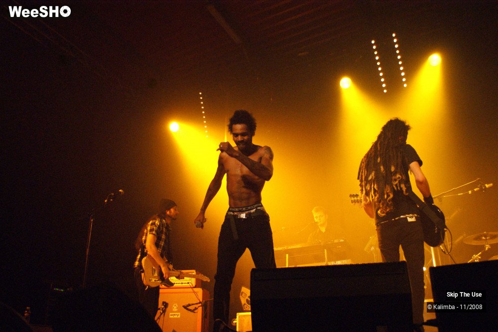 37/46 photos du spectacle Skip The Use