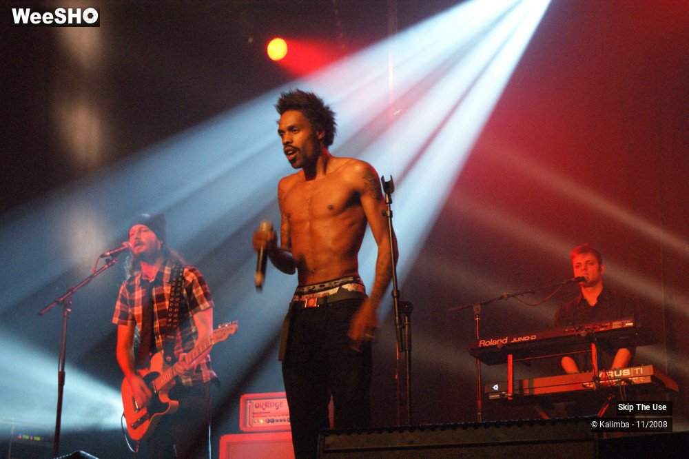 45/46 photos du spectacle Skip The Use