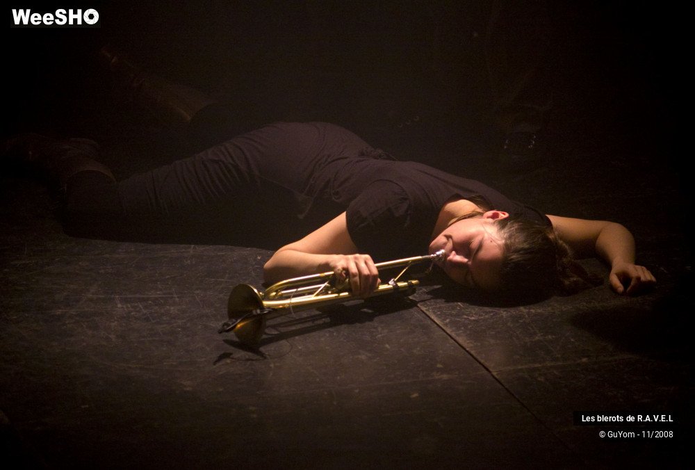 34/50 photos du spectacle Les Blérots de Ravel