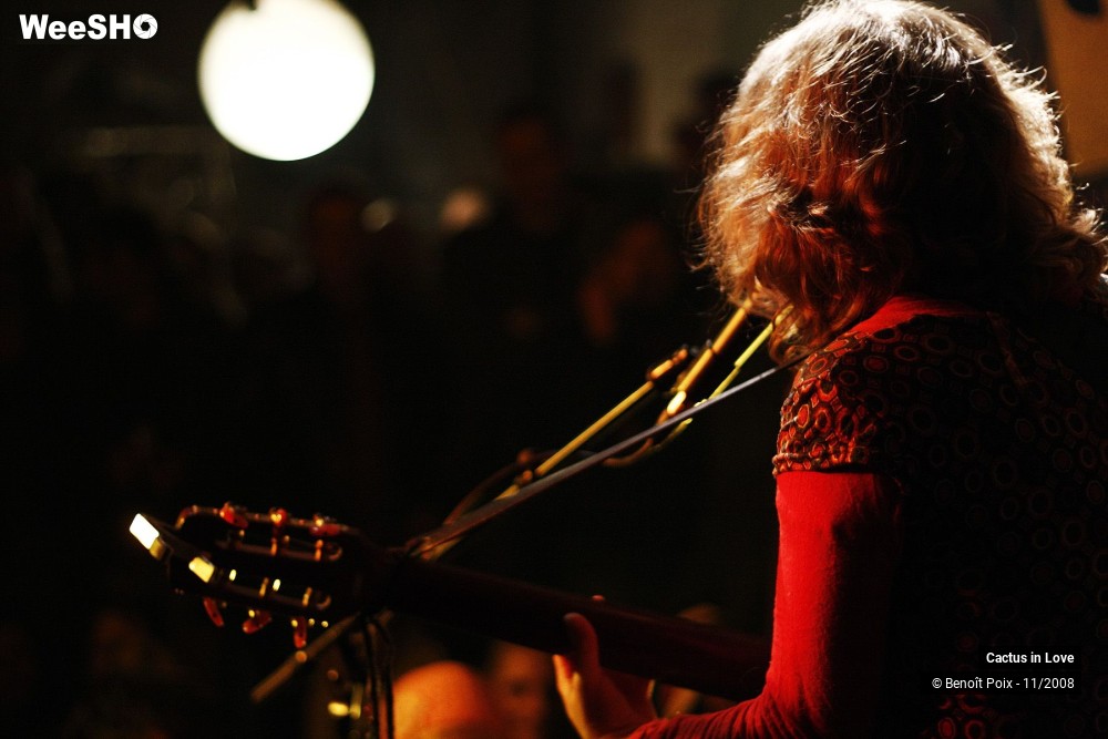 17/21 photos du spectacle Cactus In Love