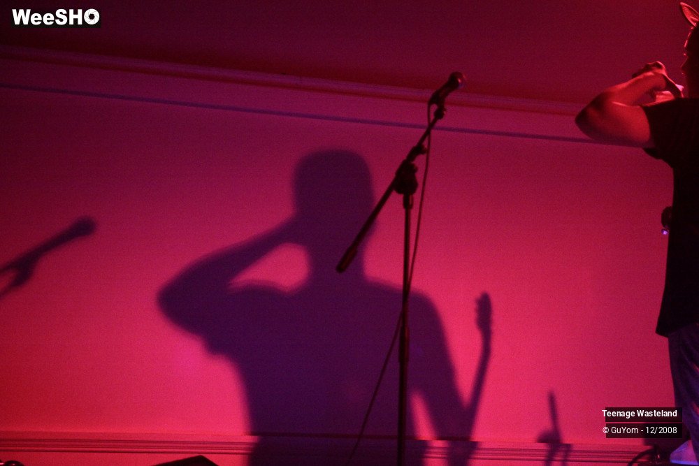 15/22 photos du spectacle Teenage Wasteland