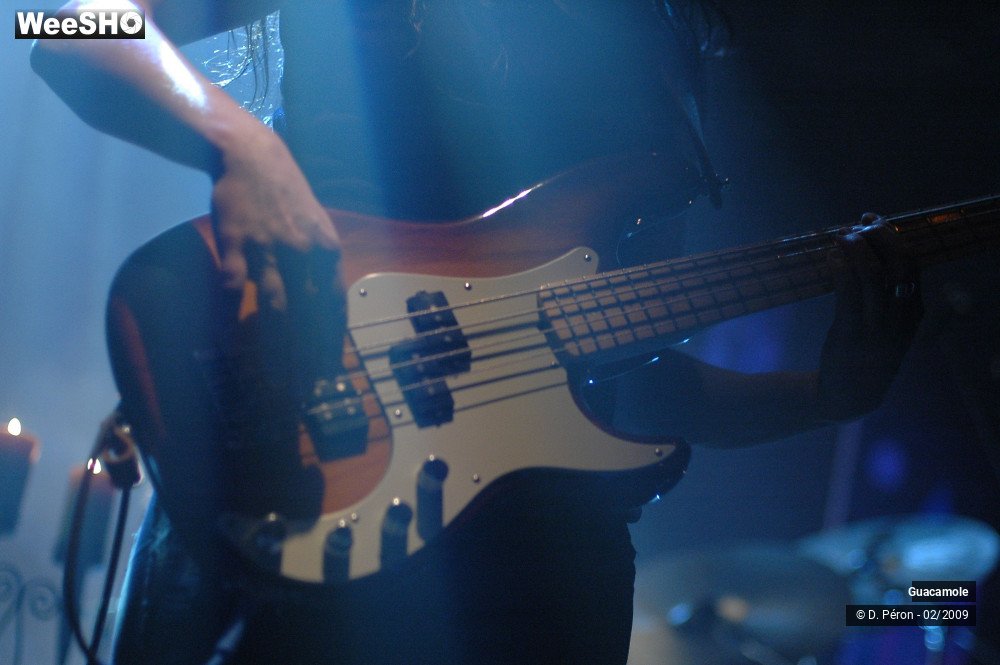 21/46 photos du spectacle Guacamole